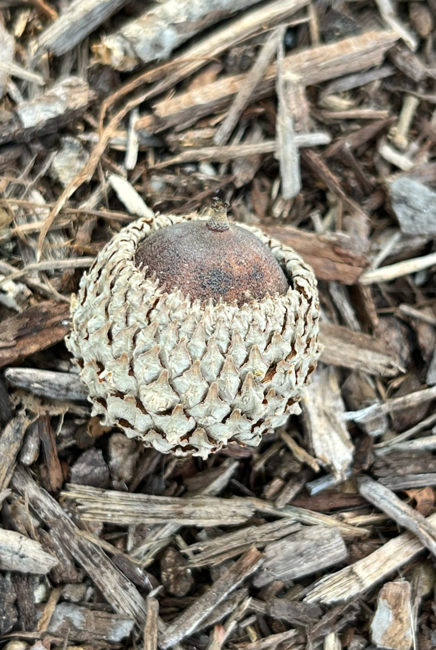 Fall, into it.