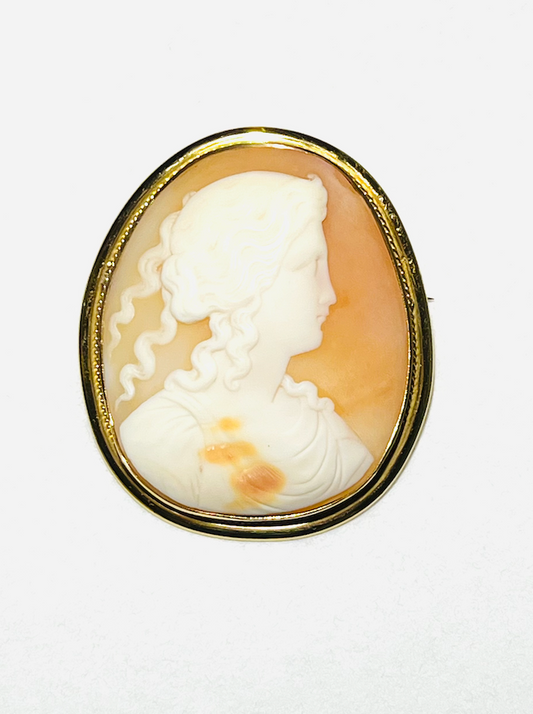 Large Victorian Era Cameo